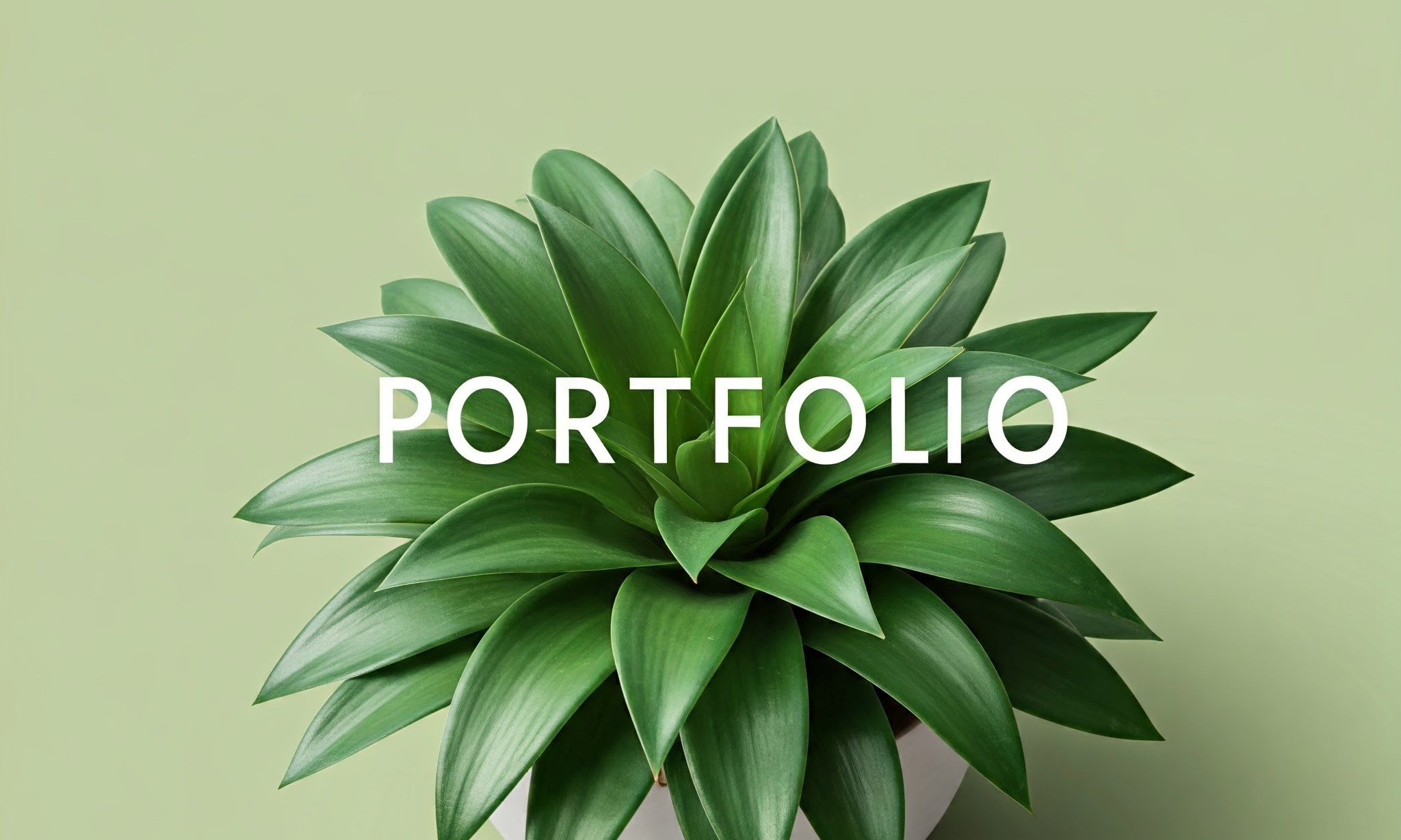 Ushi-kina's Portfolio
